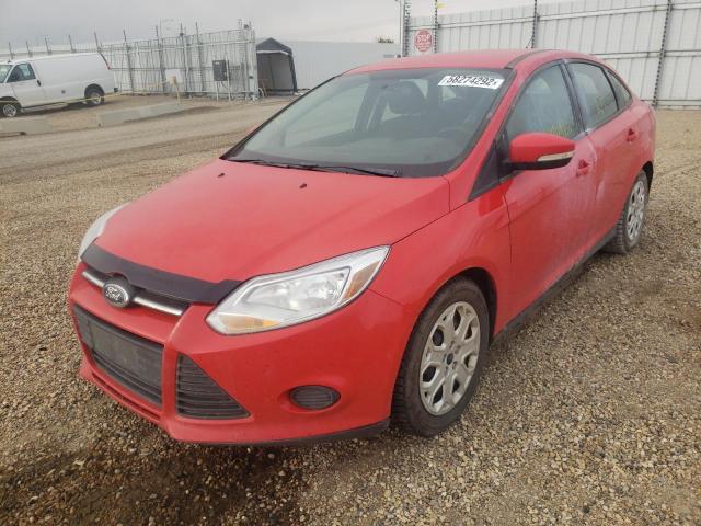 Photo 1 VIN: 1FADP3F21EL256781 - FORD FOCUS SE 