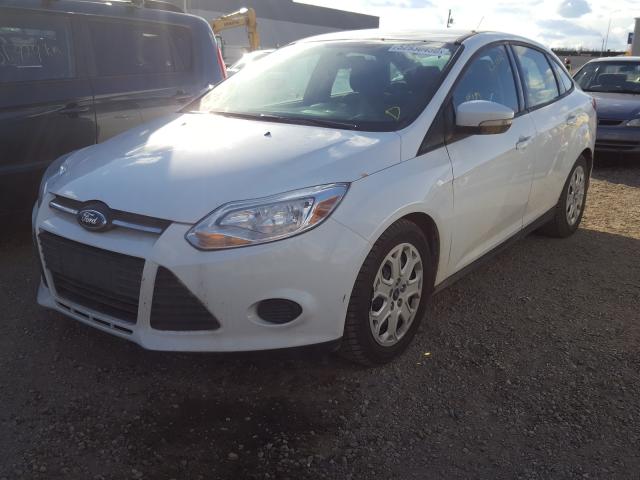 Photo 1 VIN: 1FADP3F21EL331253 - FORD FOCUS SE 