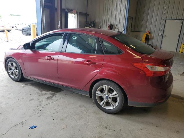 Photo 1 VIN: 1FADP3F21EL407196 - FORD FOCUS 