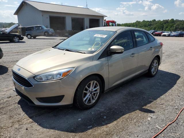 Photo 1 VIN: 1FADP3F21FL300943 - FORD FOCUS SE 