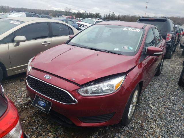 Photo 1 VIN: 1FADP3F21FL353156 - FORD FOCUS SE 