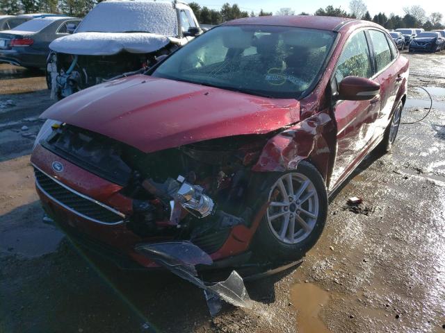 Photo 1 VIN: 1FADP3F21FL382611 - FORD FOCUS SE 