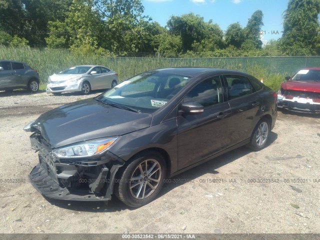 Photo 1 VIN: 1FADP3F21GL211097 - FORD FOCUS 