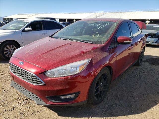 Photo 1 VIN: 1FADP3F21GL221435 - FORD FOCUS SE 