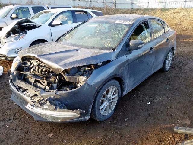 Photo 1 VIN: 1FADP3F21GL244553 - FORD FOCUS SE 