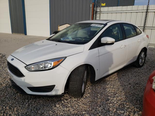 Photo 1 VIN: 1FADP3F21GL276628 - FORD FOCUS SE 