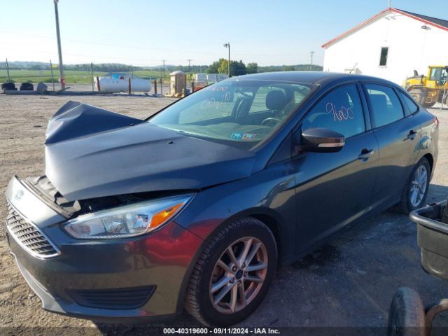 Photo 1 VIN: 1FADP3F21GL292358 - FORD FOCUS 