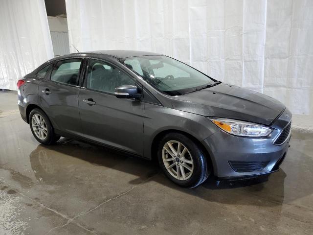 Photo 3 VIN: 1FADP3F21GL312432 - FORD FOCUS 