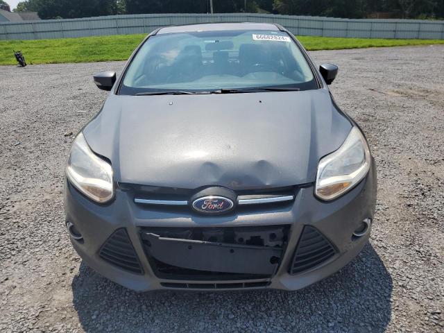 Photo 4 VIN: 1FADP3F22DL168840 - FORD FOCUS SE 