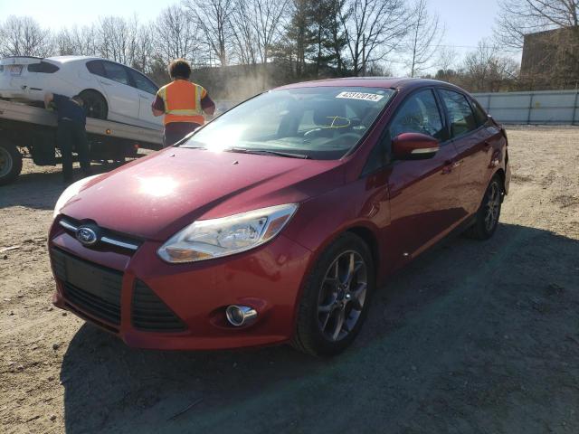 Photo 1 VIN: 1FADP3F22DL341269 - FORD FOCUS SE 