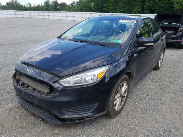 Photo 1 VIN: 1FADP3F22FL301700 - FORD FOCUS 