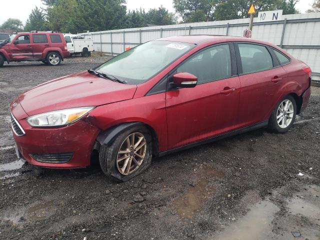 Photo 0 VIN: 1FADP3F22FL347379 - FORD FOCUS SE 