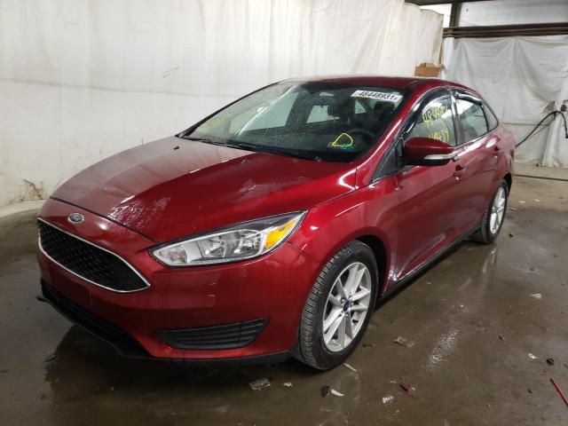 Photo 1 VIN: 1FADP3F22GL229320 - FORD FOCUS SE 