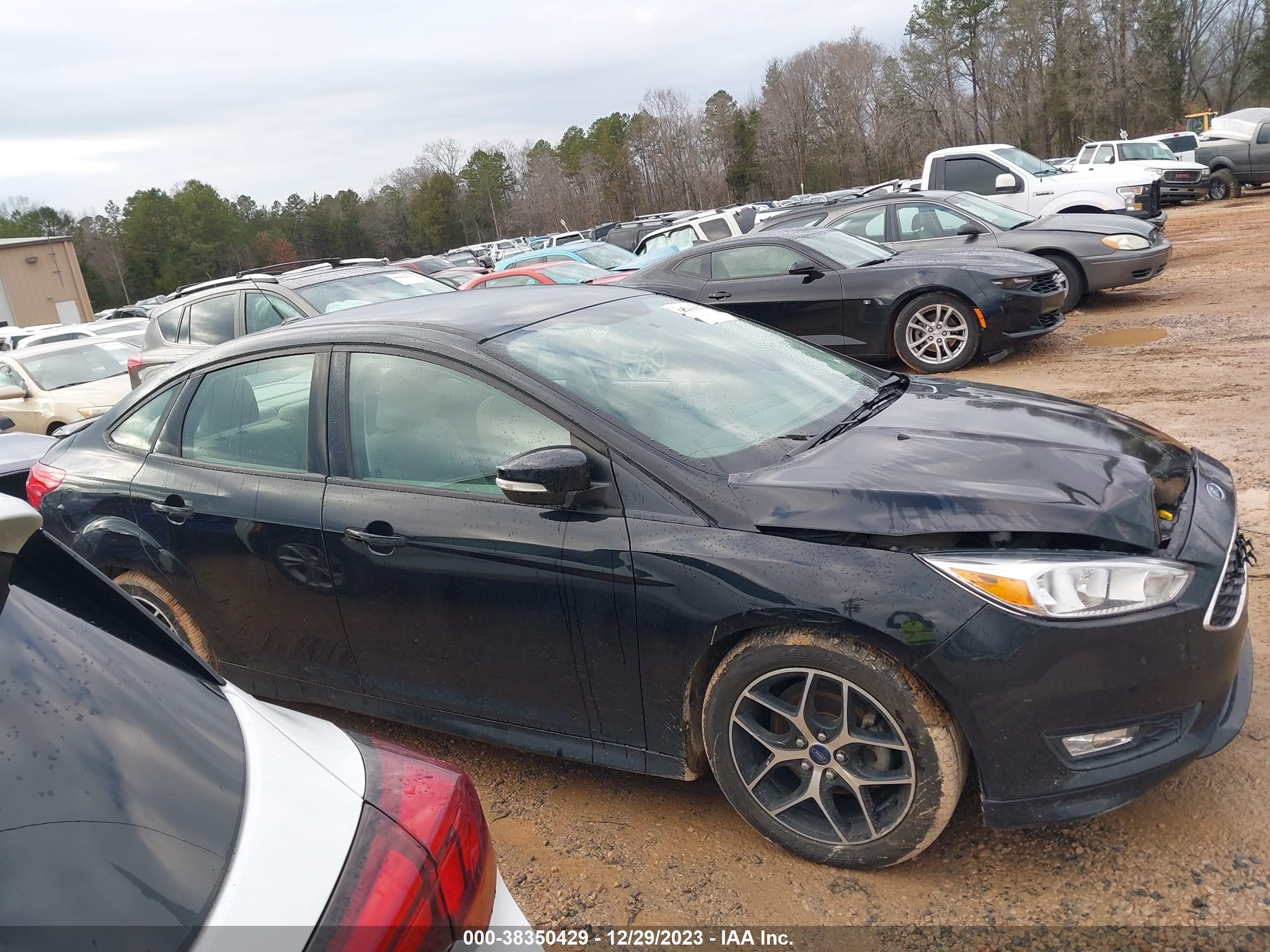 Photo 12 VIN: 1FADP3F22GL274239 - FORD FOCUS 