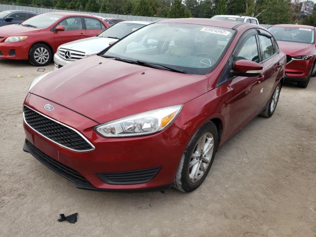 Photo 1 VIN: 1FADP3F22GL292675 - FORD FOCUS SE 