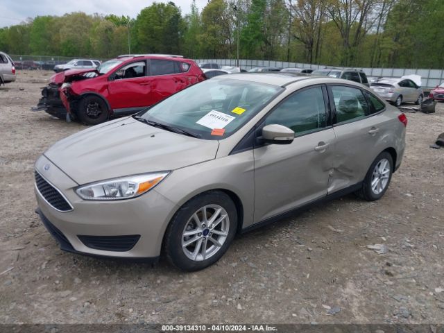 Photo 5 VIN: 1FADP3F22GL328011 - FORD FOCUS 