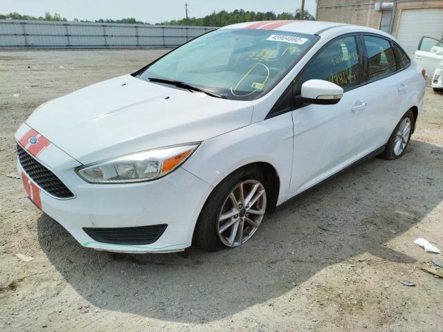 Photo 8 VIN: 1FADP3F22GL338103 - FORD FOCUS SE 