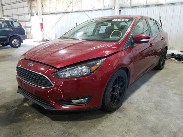 Photo 1 VIN: 1FADP3F22GL340157 - FORD FOCUS SE 