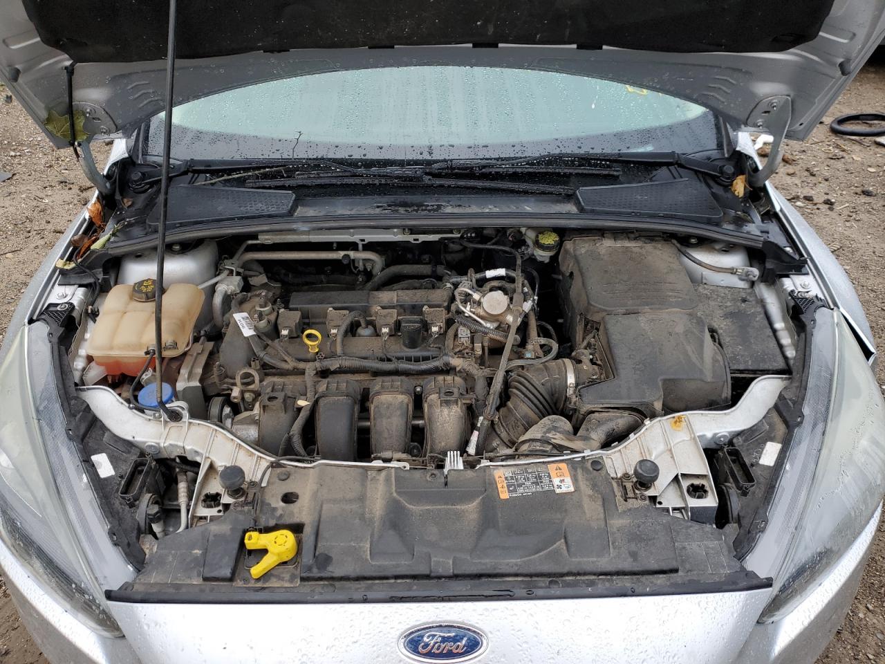 Photo 10 VIN: 1FADP3F22GL360764 - FORD FOCUS 