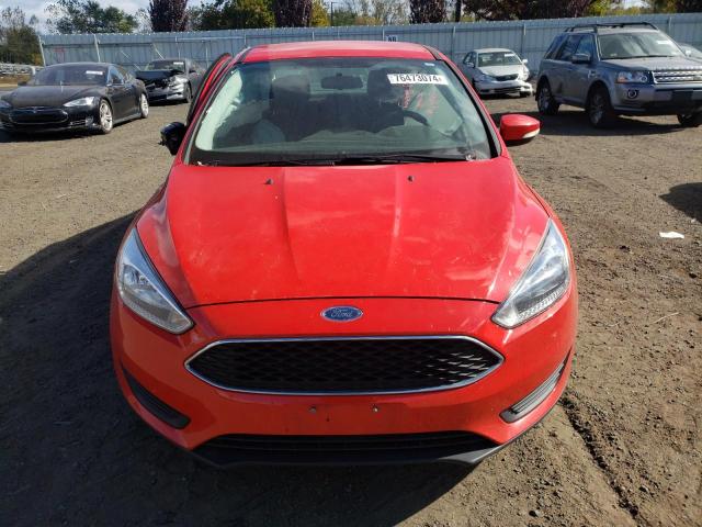 Photo 4 VIN: 1FADP3F22HL316488 - FORD FOCUS SE 