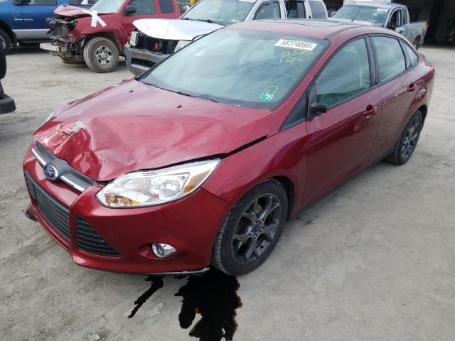 Photo 1 VIN: 1FADP3F23DL155191 - FORD FOCUS SE 