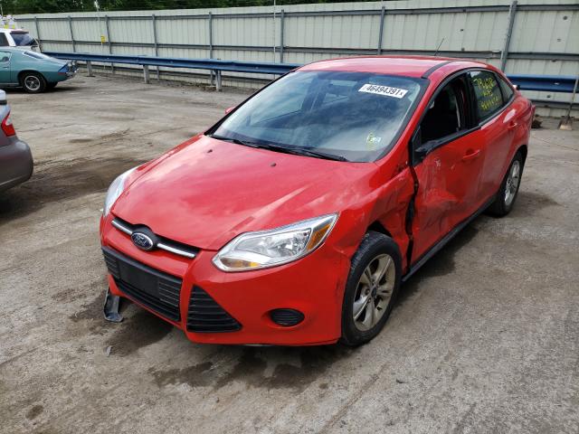 Photo 1 VIN: 1FADP3F23DL175828 - FORD FOCUS SE 