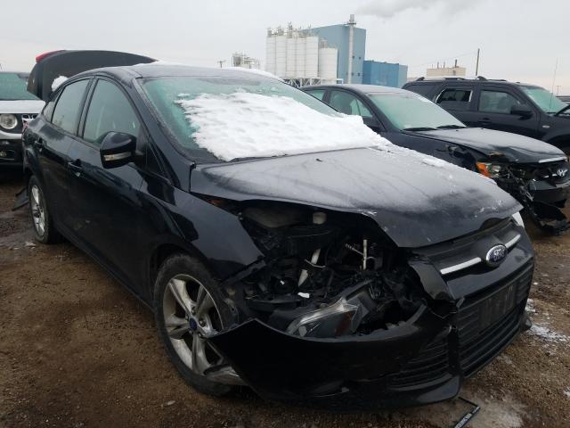 Photo 8 VIN: 1FADP3F23DL208231 - FORD FOCUS SE 