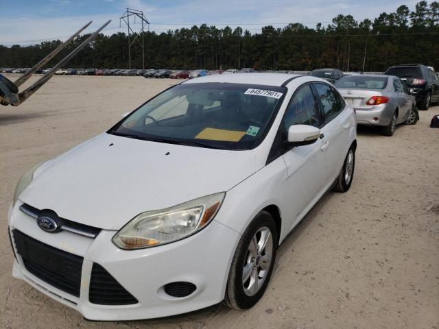 Photo 1 VIN: 1FADP3F23DL317627 - FORD FOCUS SE 