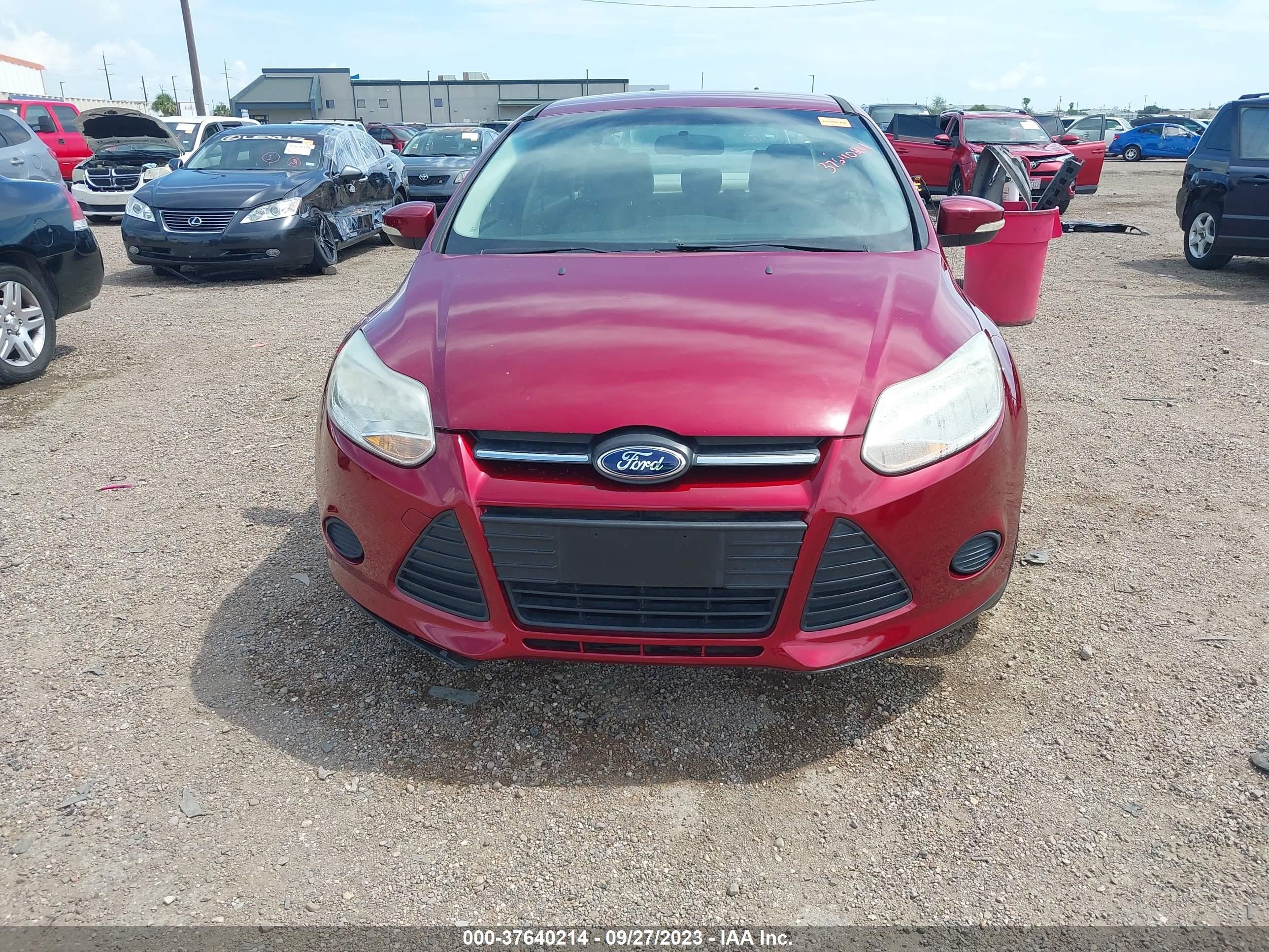 Photo 11 VIN: 1FADP3F23DL381165 - FORD FOCUS 