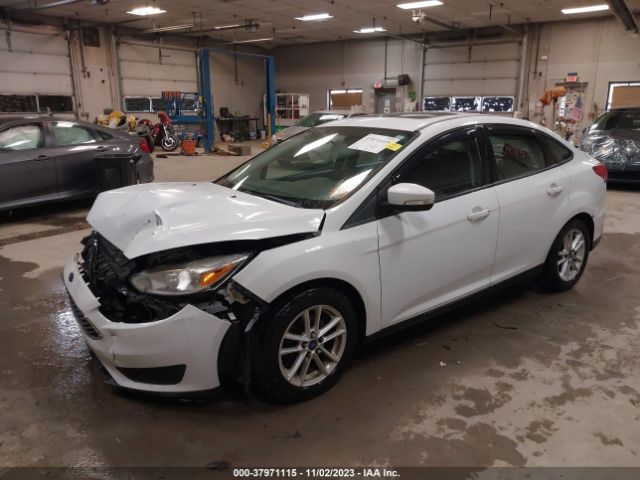 Photo 1 VIN: 1FADP3F23FL206515 - FORD FOCUS 