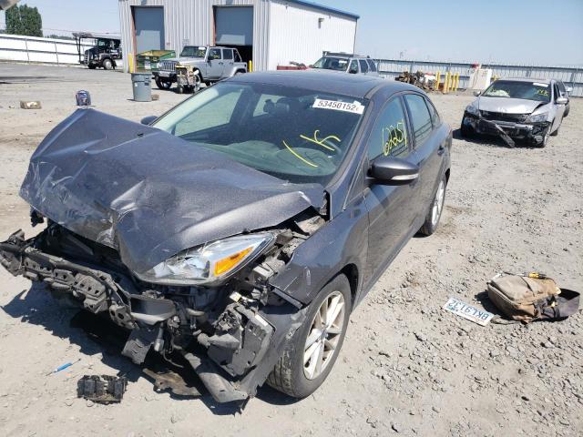 Photo 1 VIN: 1FADP3F23FL256976 - FORD FOCUS SE 