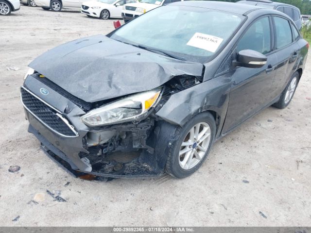 Photo 5 VIN: 1FADP3F23FL316495 - FORD FOCUS 