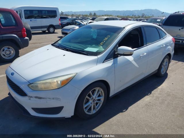 Photo 1 VIN: 1FADP3F23FL343325 - FORD FOCUS 