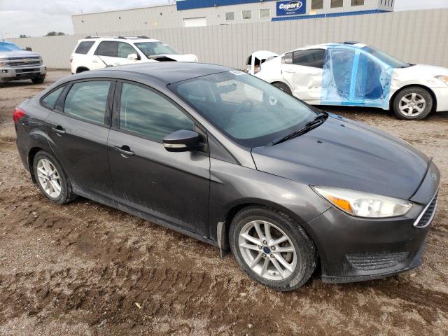 Photo 3 VIN: 1FADP3F23GL261855 - FORD FOCUS SE 