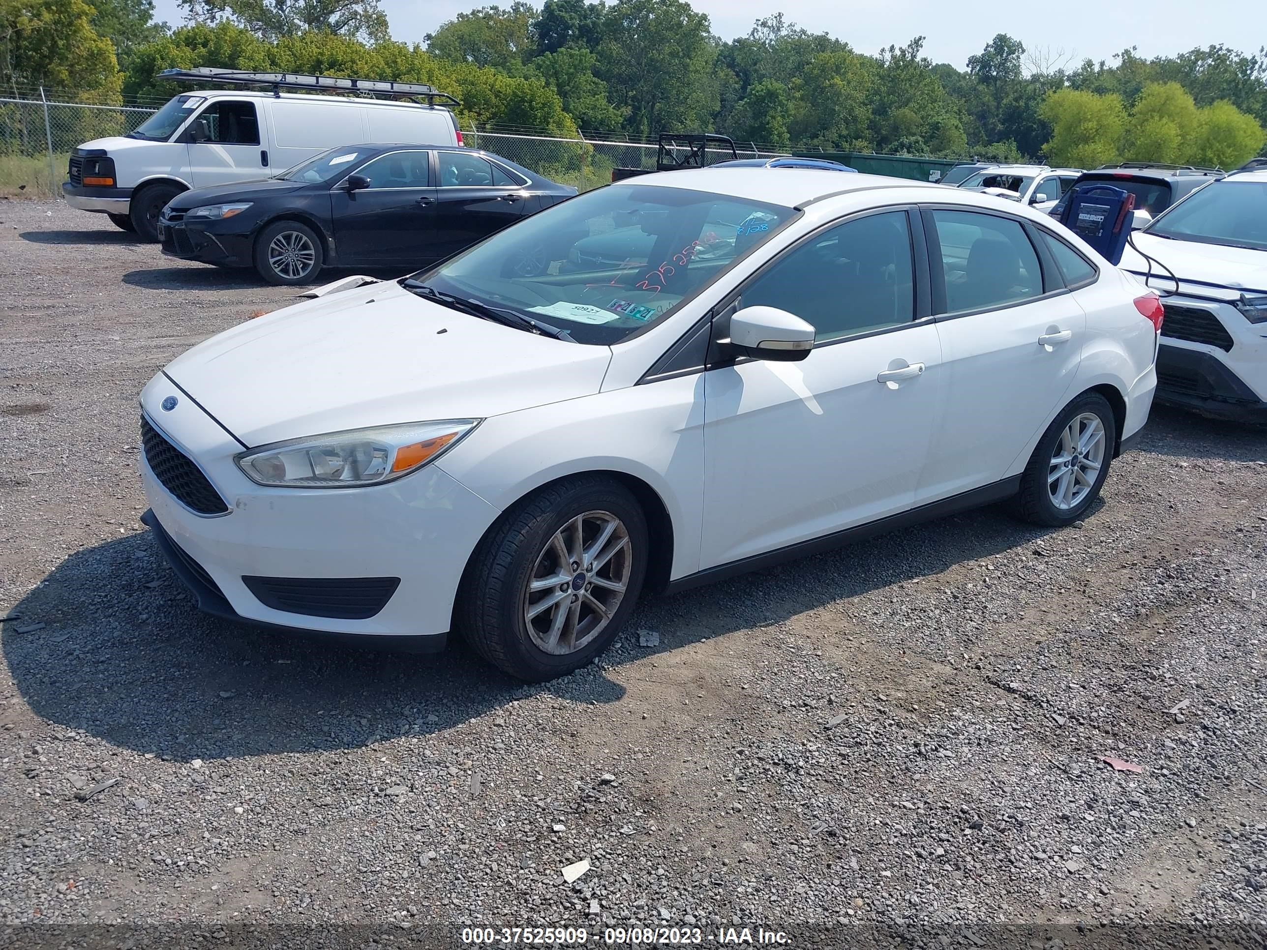 Photo 1 VIN: 1FADP3F23GL283032 - FORD FOCUS 