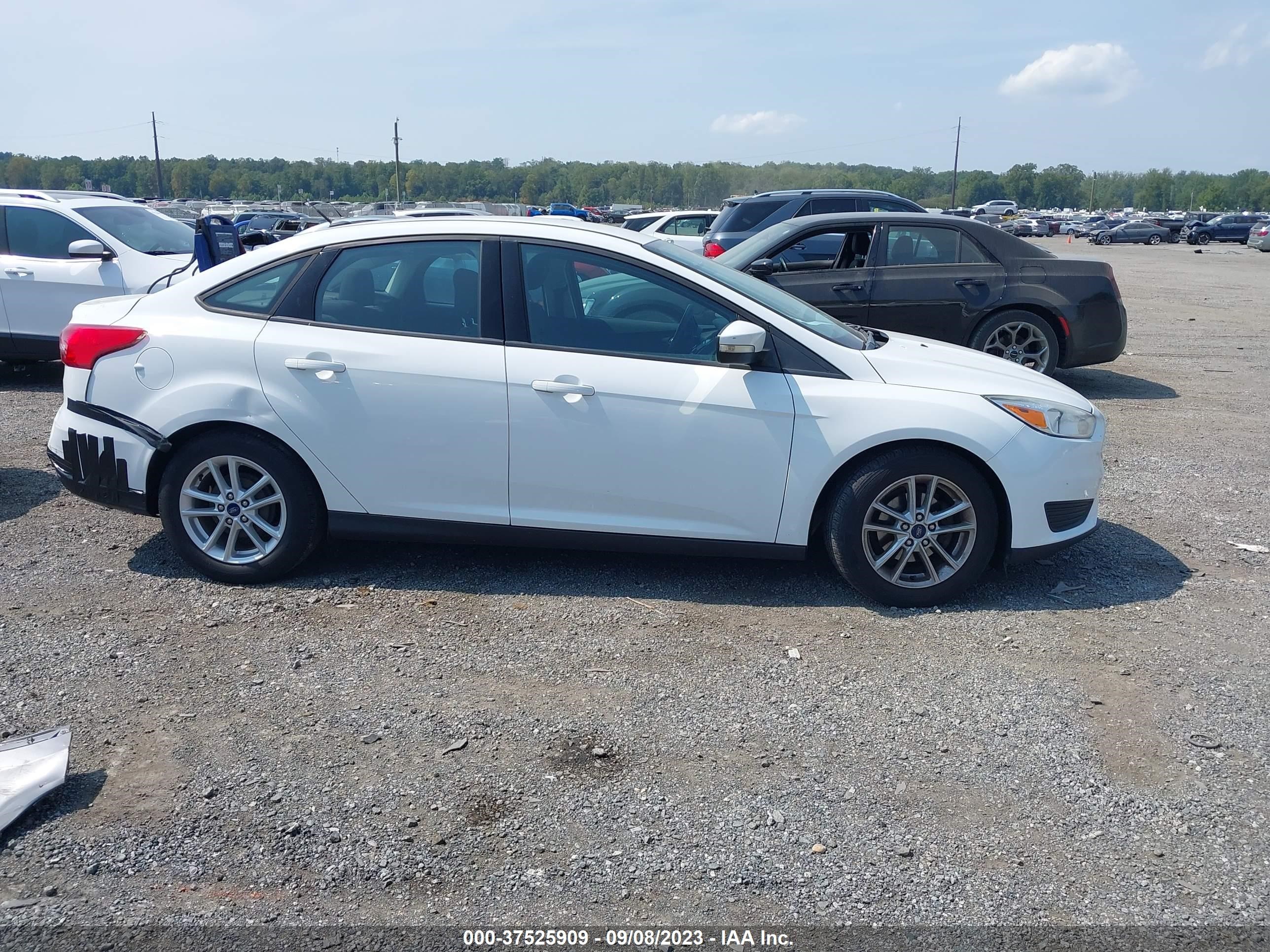 Photo 12 VIN: 1FADP3F23GL283032 - FORD FOCUS 