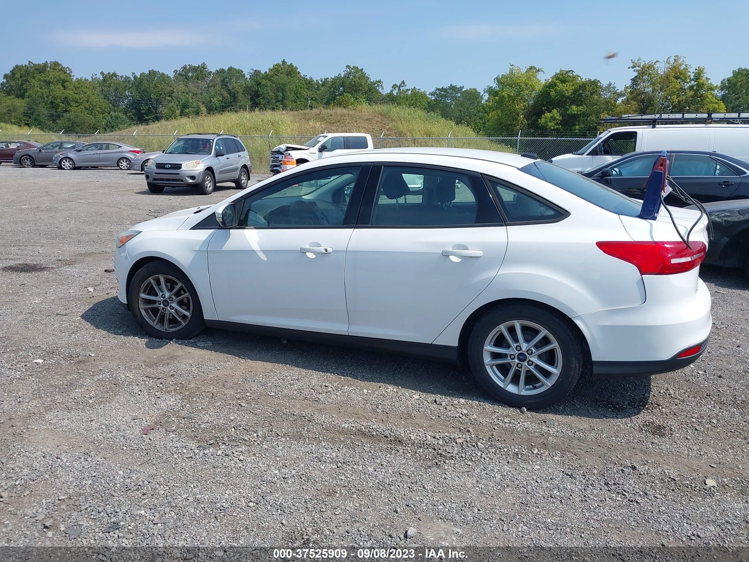 Photo 13 VIN: 1FADP3F23GL283032 - FORD FOCUS 