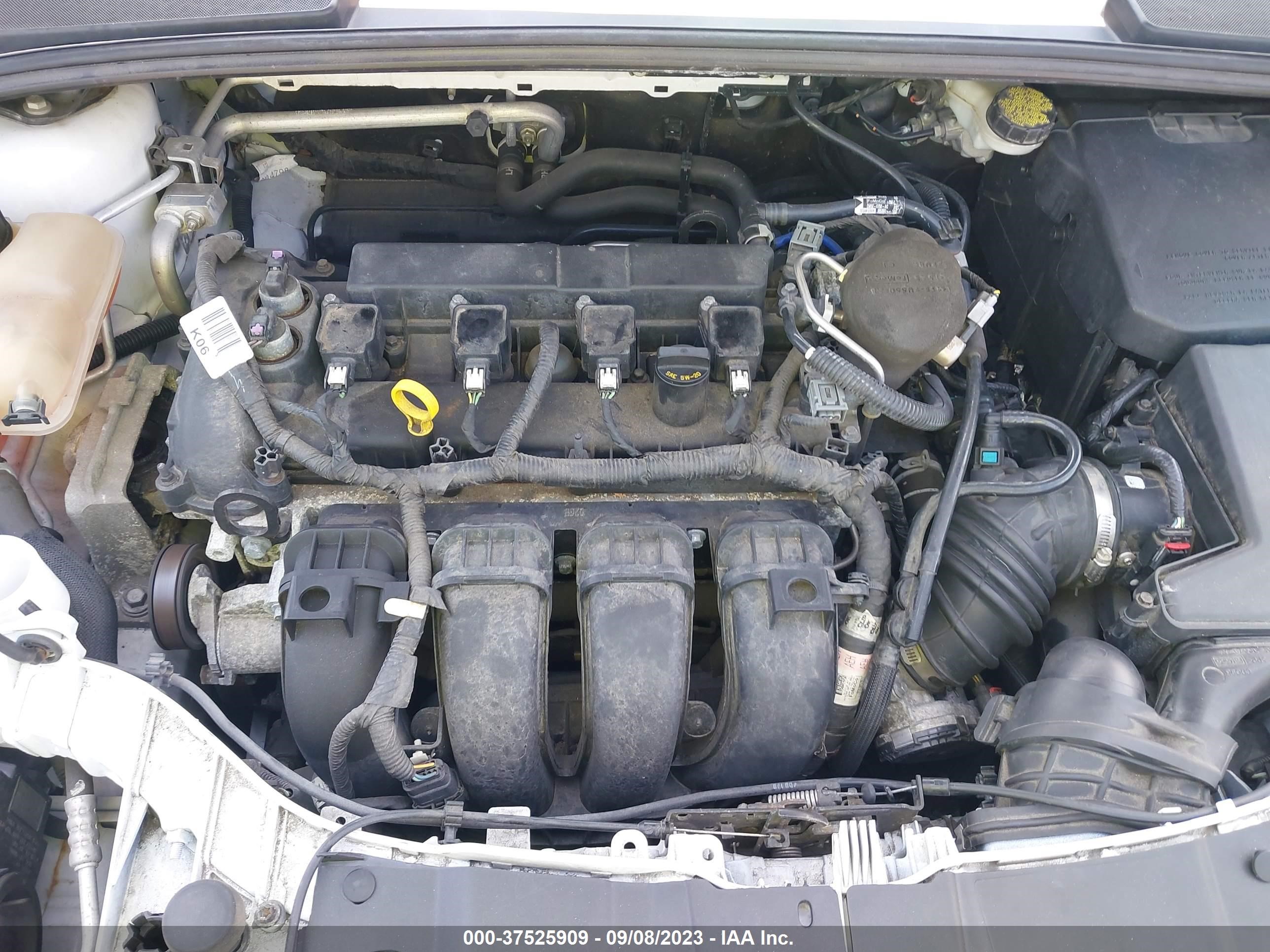 Photo 9 VIN: 1FADP3F23GL283032 - FORD FOCUS 