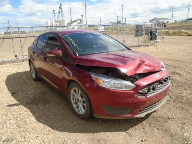 Photo 0 VIN: 1FADP3F23GL295746 - FORD FOCUS SE 