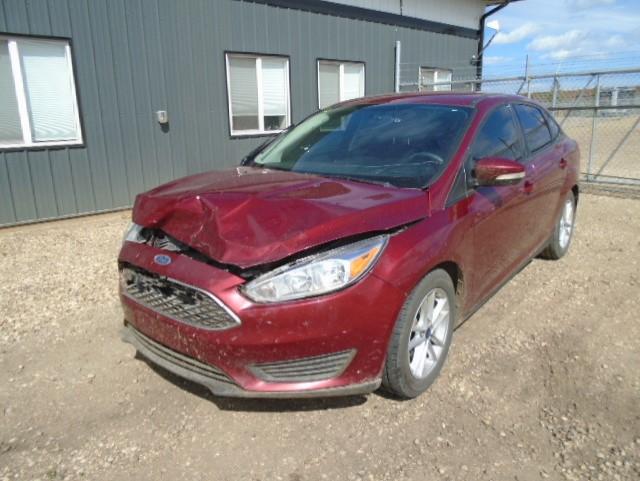 Photo 1 VIN: 1FADP3F23GL295746 - FORD FOCUS SE 