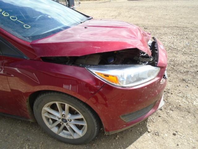 Photo 8 VIN: 1FADP3F23GL295746 - FORD FOCUS SE 