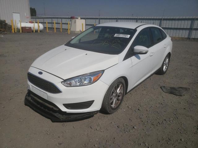 Photo 1 VIN: 1FADP3F23GL363673 - FORD FOCUS SE 