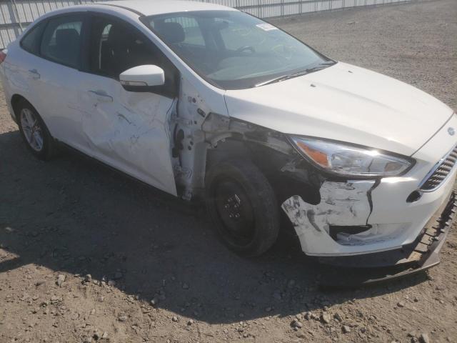 Photo 8 VIN: 1FADP3F23GL363673 - FORD FOCUS SE 