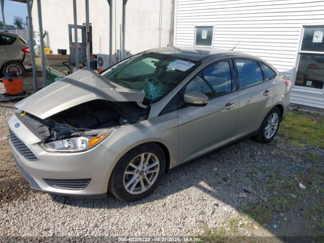 Photo 1 VIN: 1FADP3F23GL373409 - FORD FOCUS 