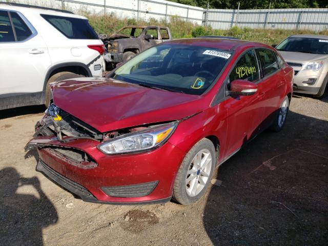 Photo 1 VIN: 1FADP3F23GL386919 - FORD FOCUS 