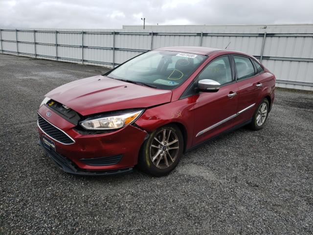 Photo 1 VIN: 1FADP3F23HL236679 - FORD FOCUS SE 