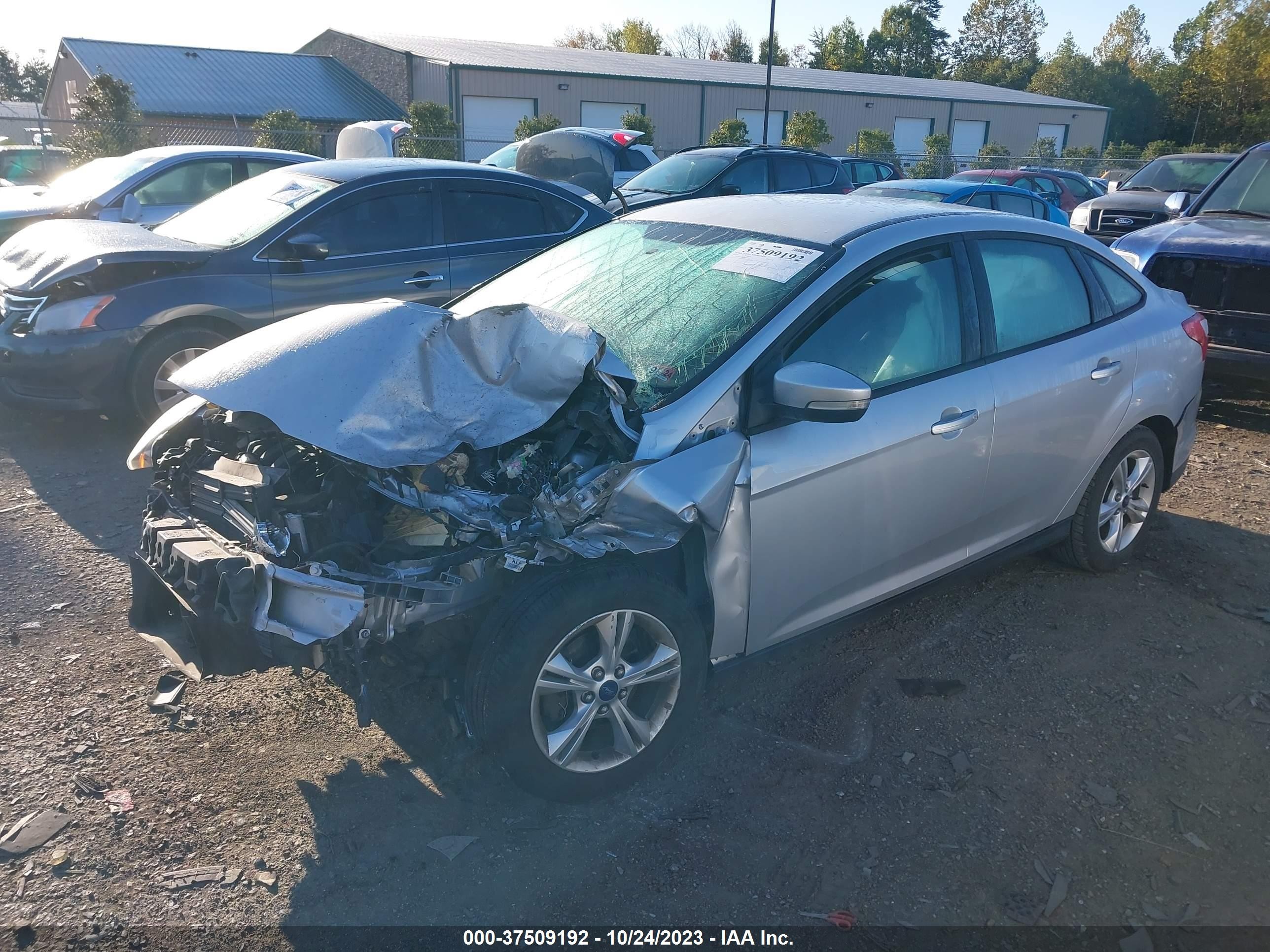 Photo 1 VIN: 1FADP3F24DL149593 - FORD FOCUS 