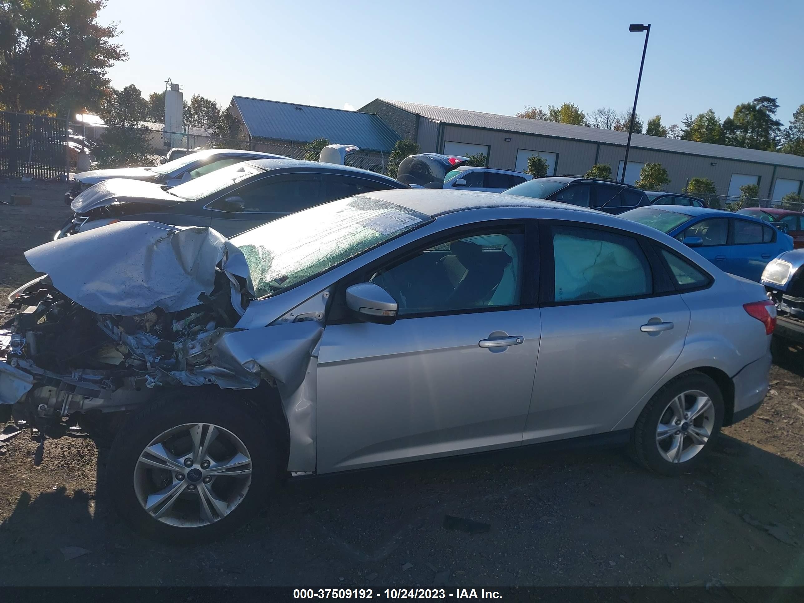 Photo 12 VIN: 1FADP3F24DL149593 - FORD FOCUS 