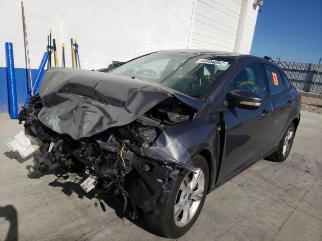 Photo 1 VIN: 1FADP3F24DL161050 - FORD FOCUS SE 