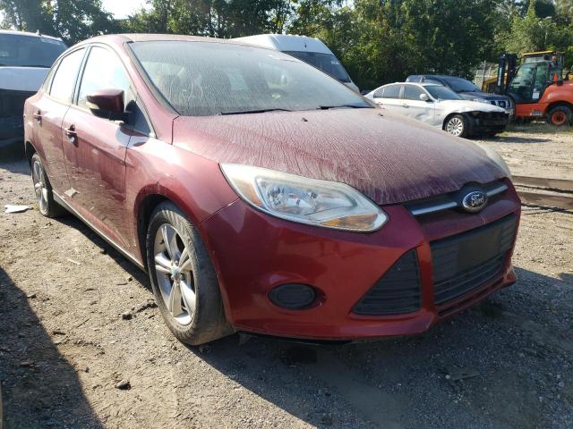 Photo 8 VIN: 1FADP3F24DL187566 - FORD FOCUS SE 